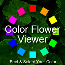 Color Flower Viewer
